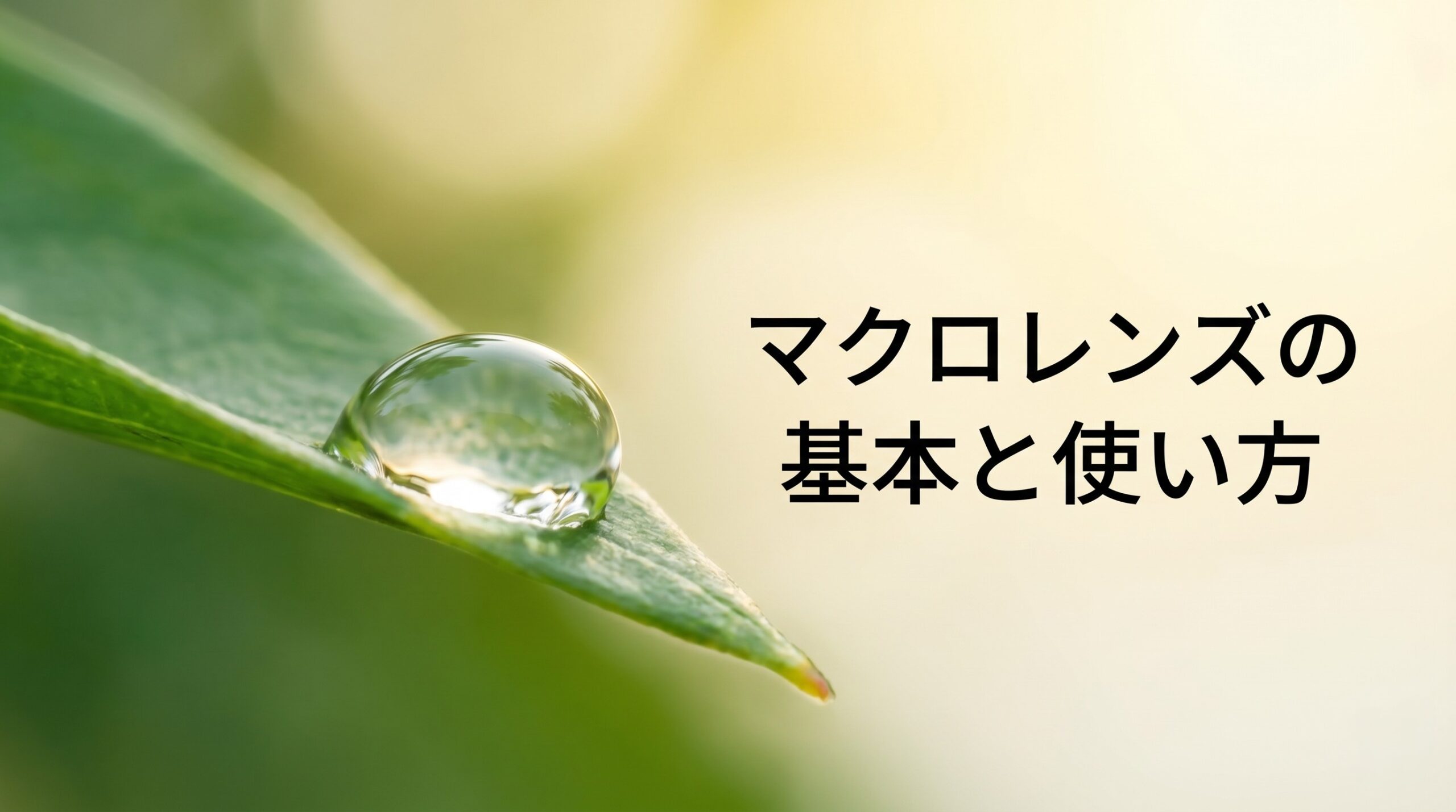 マクロレンズの基本と使い方